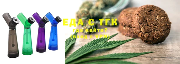 индика Канск