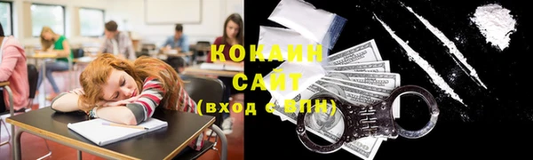 ECSTASY Майский