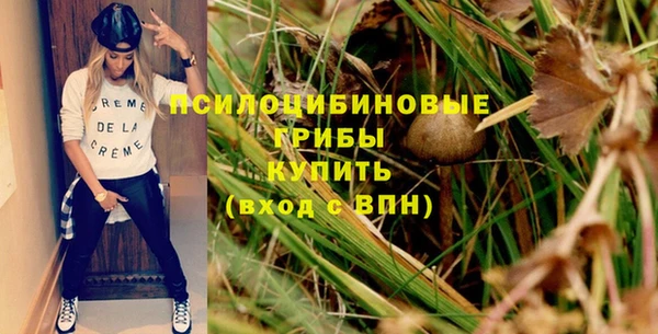 МДПВ Медногорск