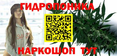 ешки Абакан