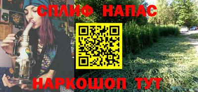 гидра Азнакаево