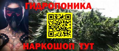 ALPHA PVP Канаш