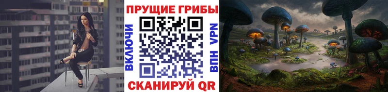Галлюциногенные грибы GOLDEN TEACHER  магазин продажи   Минеральные Воды 