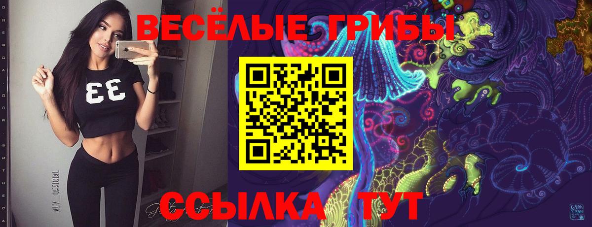 Минеральные Воды  Псилоцибиновые грибы Psilocybe  Вход с VPN  Псилоцибиновые грибы мицелий 