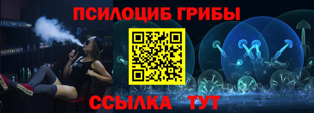 Псилоцибиновые грибы прущие грибы Минеральные Воды