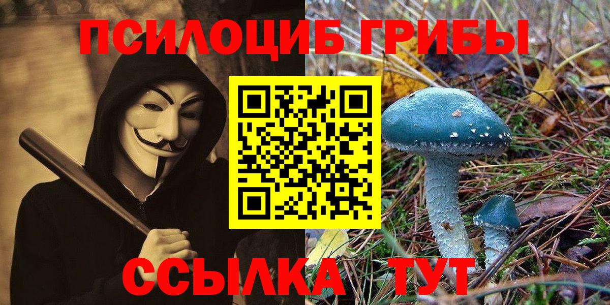 Галлюциногенные грибы GOLDEN TEACHER Минеральные Воды
